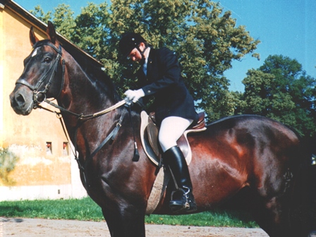 pferd-dolmetsch.at/ Lizenzprüfung Stadl Paura